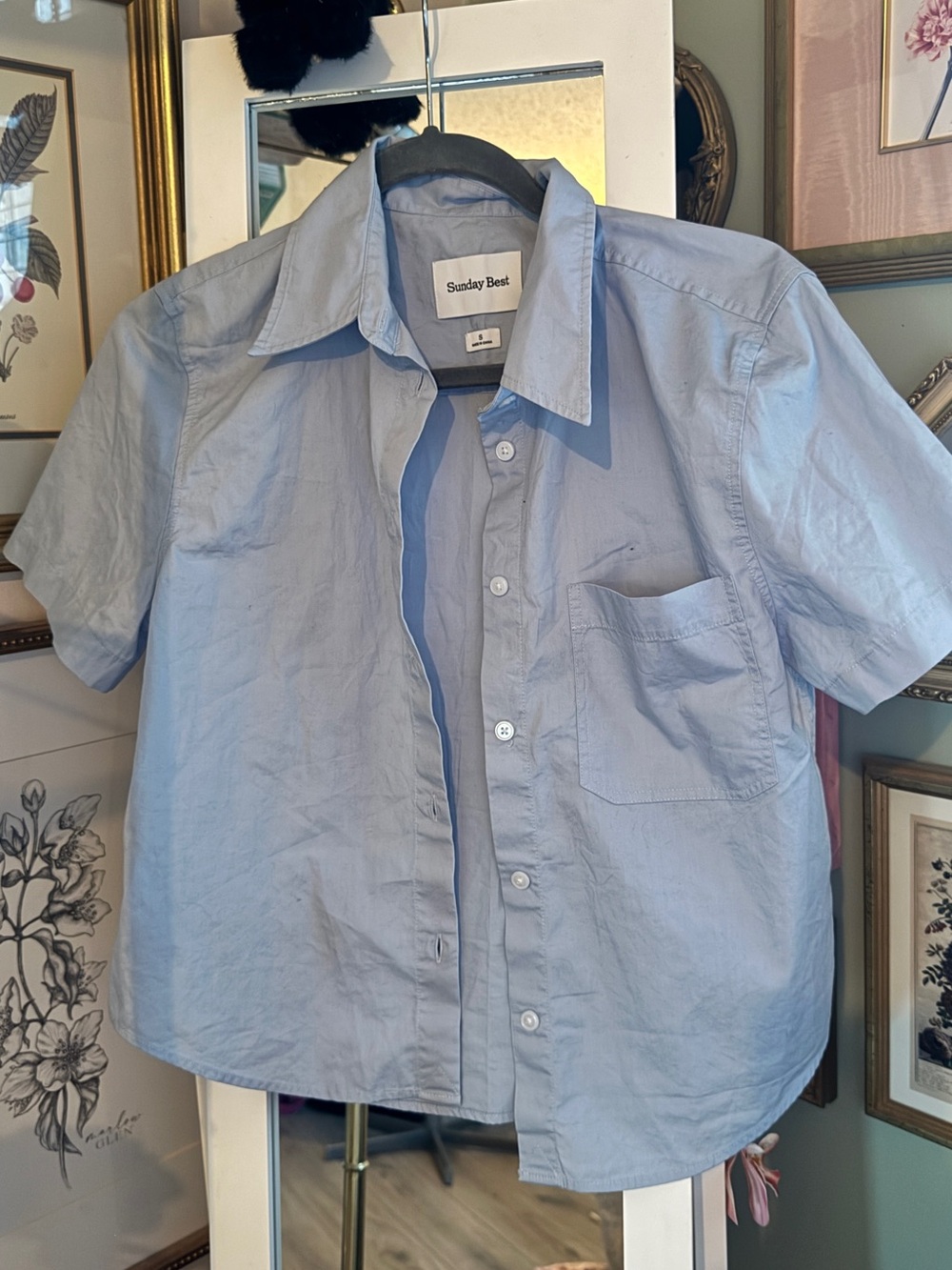 Aritzia Sunday’s Best Light Blue Short-Sleeve Button-Down Shirt